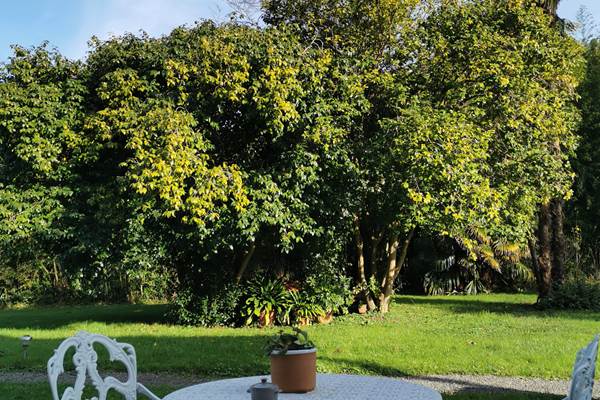 Terrasse Appart Hôtel Bellevue Bayonne